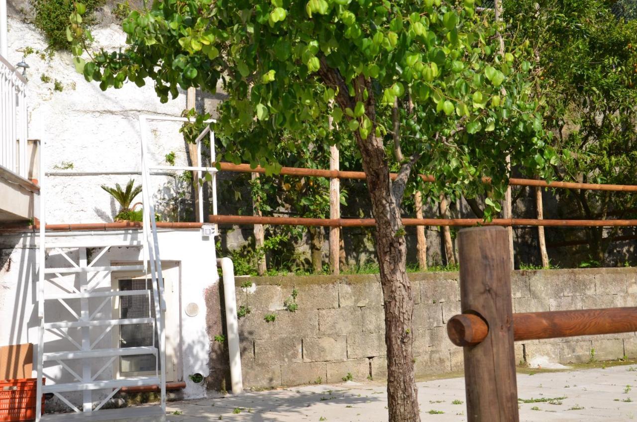 Villa Luciana Sant'Agnello Buitenkant foto